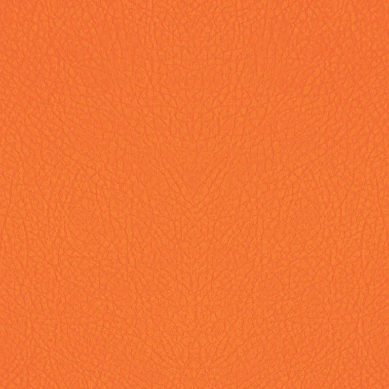 Vibrant Orange