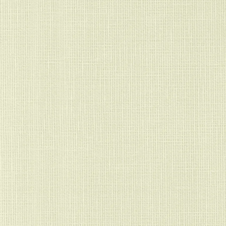 Pale Cream/Off-White