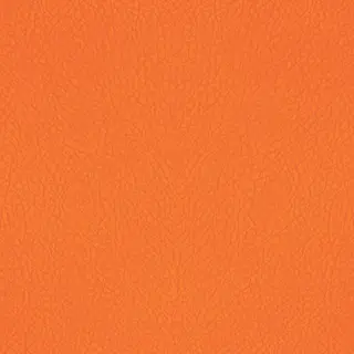 Vibrant Orange