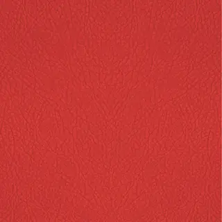 Bold Red