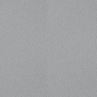 Medium Grey