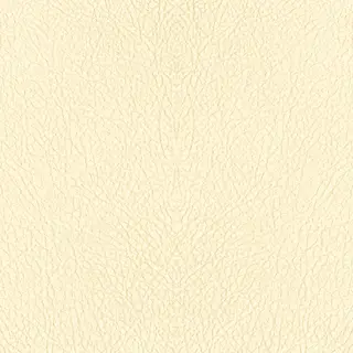 Cream/Pale Yellow