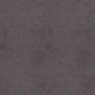 Dark Charcoal/Grey