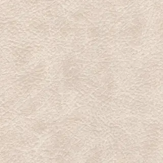 Light Beige/Cream