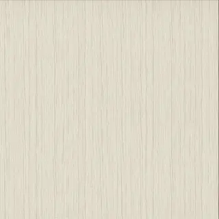 Light White Wood