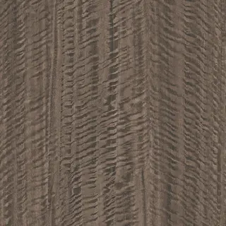 Dark Wood