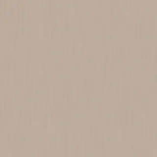 Solid Beige