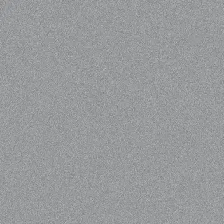 Silver Glitter