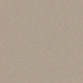 Champagne/Beige Glitter