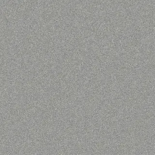 Silver/Grey Glitter