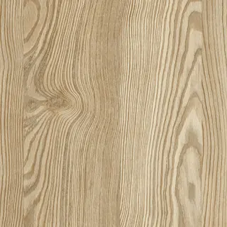 Light Blonde Pine