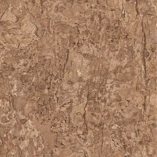 Burl/Cork Texture