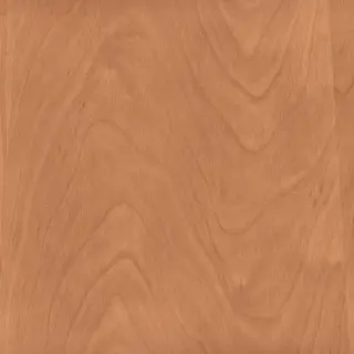 Light Blonde Wood