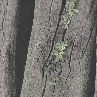 Grey/Green Rustic Wood