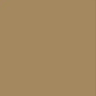 Solid Beige/Tan