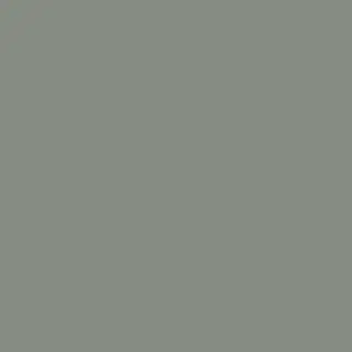 Solid Sage Green
