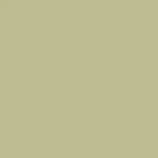 Solid Olive Green