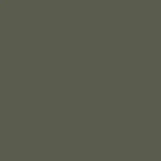 Solid Dark Green/Grey
