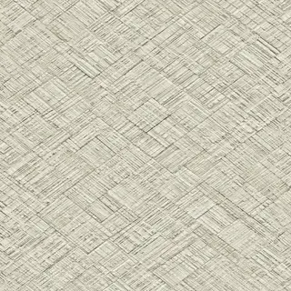 Beige Fabric Texture