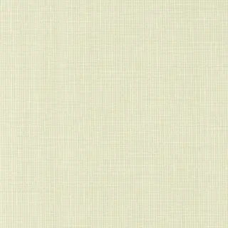 Pale Cream/Off-White