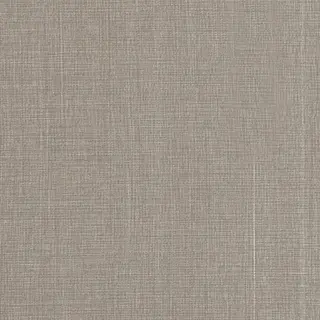 aupe/Warm Grey