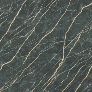 Black with Gold/White Veins